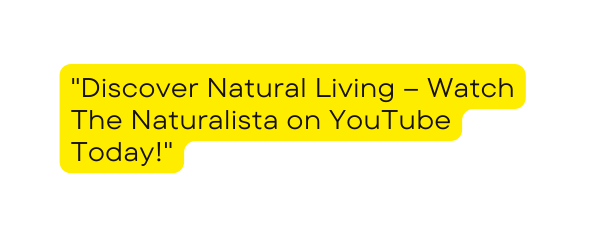 Discover Natural Living Watch The Naturalista on YouTube Today